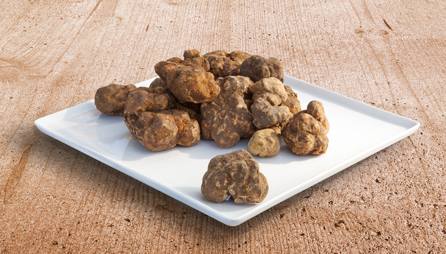 FRESH WHITE TRUFFLE (Tuber Magnatum Pico)